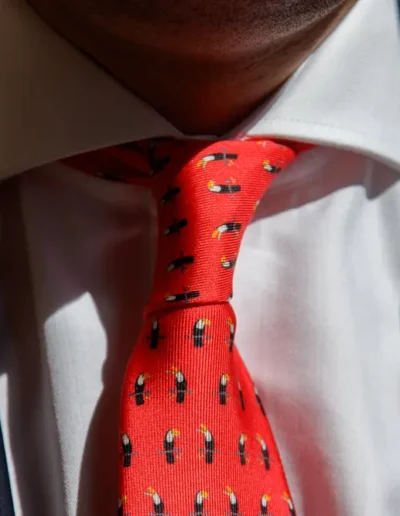 corbata-tucan-32-momme-rojo-salvaje-modelo-2